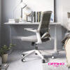 OHE-111GRIS_dolphin_01 OHE 111GRIS dolphin 01